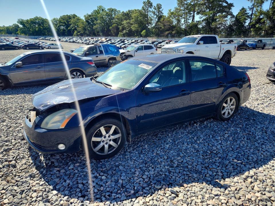 NISSAN MAXIMA 2004 with VIN 1N4BA41E64C829950 - Photo from auction