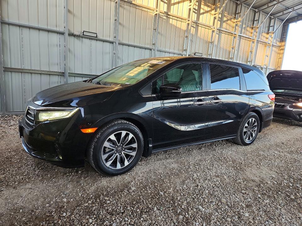 HONDA ODDESEY 2022 with VIN 5FNRL6H73NB062262 - Photo from auction
