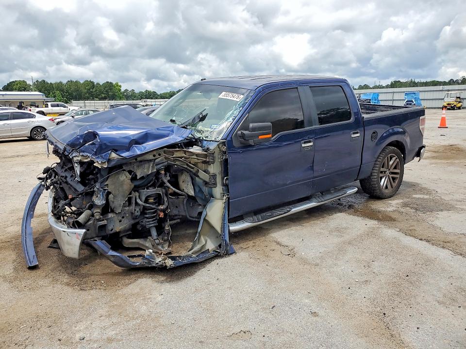 FORD F150 2010 with VIN 1FTEW1C88AFA22435 - Photo from auction