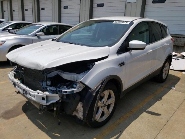 FORD ESCAPE SE 2014 with VIN 1FMCU0G95EUD45588 - Photo from auction