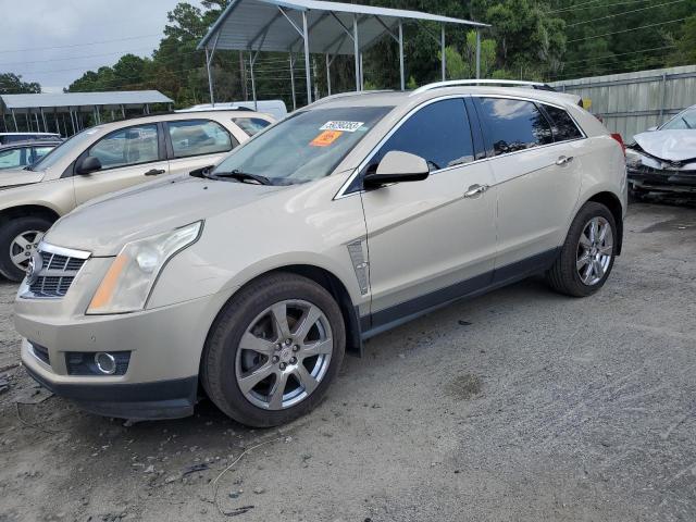 CADILLAC SRX PERFOR 2012 with VIN 3GYFNBE35CS584106 - Photo from auction