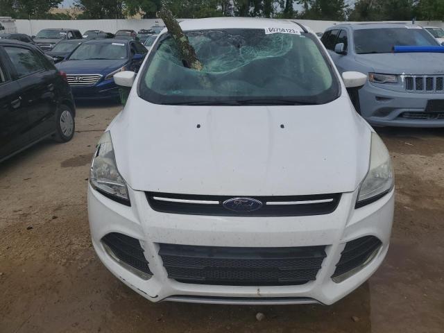 Photo 5 from auction – 2014 FORD ESCAPE SE with VIN 1FMCU0GX7EUC91600