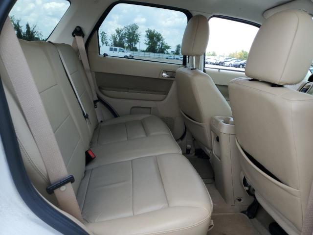 Photo 11 from auction – 2010 FORD ESCAPE LIM with VIN 1FMCU0EG5AKA87161