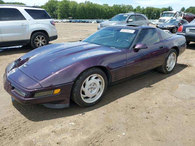 CHEVROLET CORVETTE 1992 with VIN 1G1YY23P5N5109511 - Photo from auction