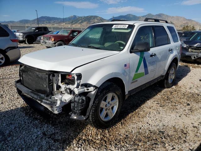 FORD ESCAPE XLT 2008 with VIN 1FMCU49H58KB80072 - Photo from auction