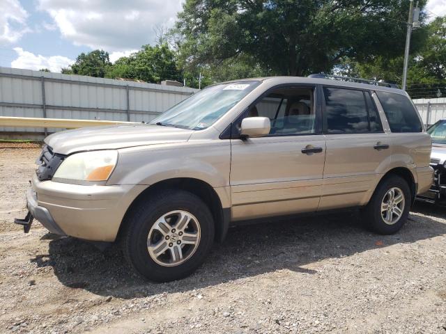 HONDA PILOT 2005 with VIN 5FNYF18525B018080 - Photo from auction