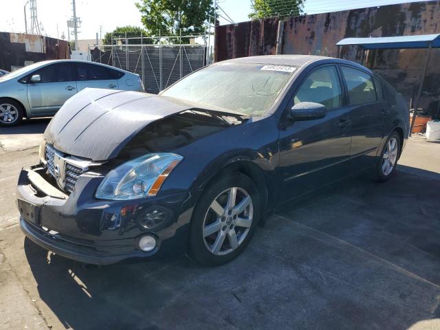 NISSAN MAXIMA SE 2004 with VIN 1N4BA41E64C882891 - Photo from auction