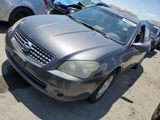NISSAN ALTIMA S 2005 with VIN 1N4AL11D95C191464 - Photo from auction