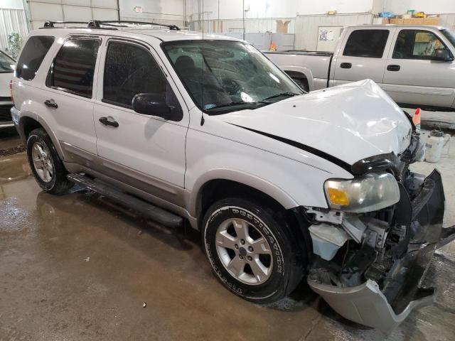 Photo 4 from auction – 2007 FORD ESCAPE with VIN 1FMYU03197KA93509