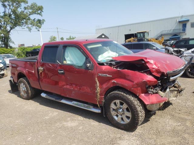 Photo 4 from auction – 2009 FORD F150 SUPER with VIN 1FTPW14V79FA71036