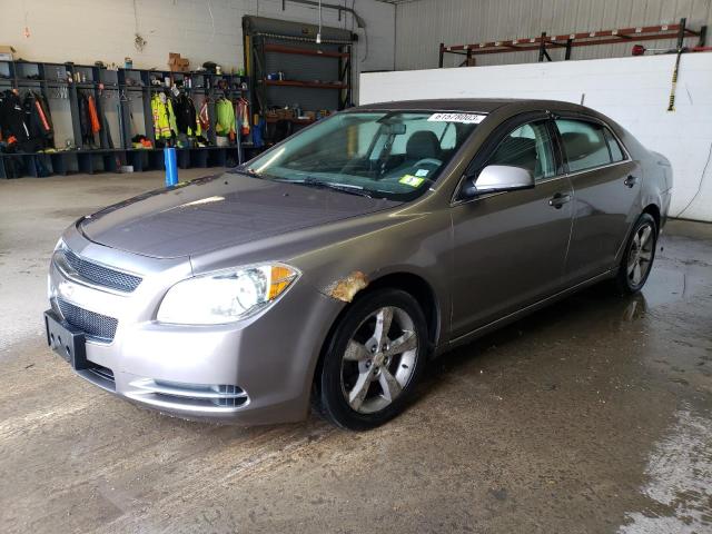 CHEVROLET MALIBU 1LT 2011 with VIN 1G1ZC5E15BF372875 - Photo from auction