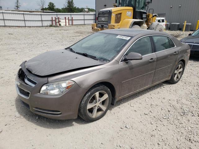 CHEVROLET MALIBU 1LT 2011 with VIN 1G1ZC5E17BF284927 - Photo from auction