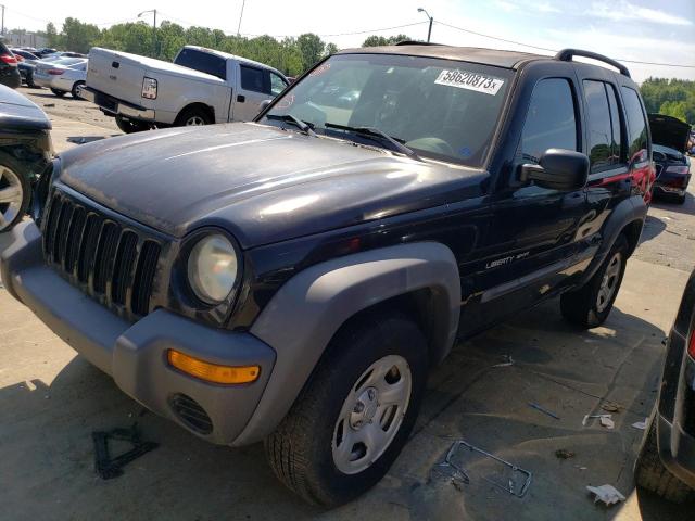 JEEP LIBERTY 2003 with VIN 1J4GL48K23W623229 - Photo from auction