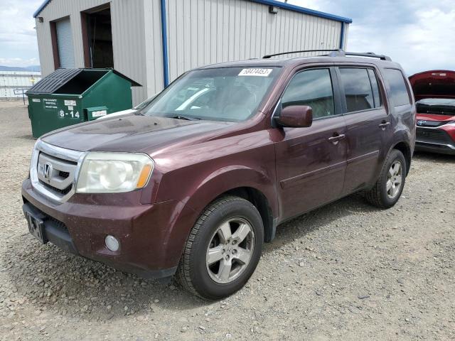 Фото 1 с аукциона – 2011 HONDA PILOT EXL с VIN 5FNYF4H5XBB007194