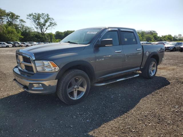 DODGE RAM 1500 2010 with VIN 1D7RV1CT5AS158107 - Photo from auction