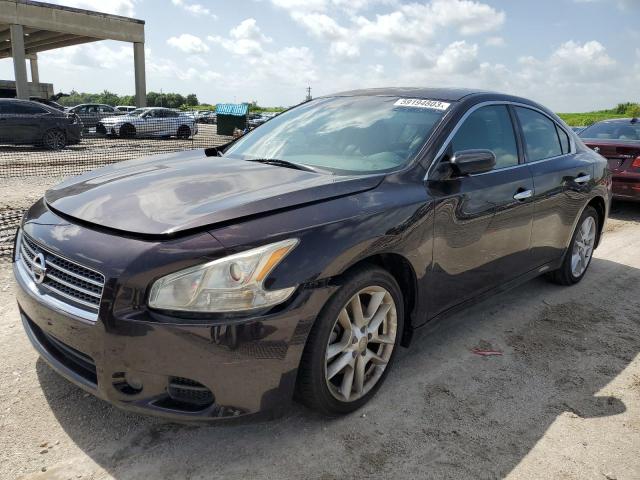 NISSAN MAXIMA S 2011 с VIN 1N4AA5AP8BC834468 - Фото с аукциона