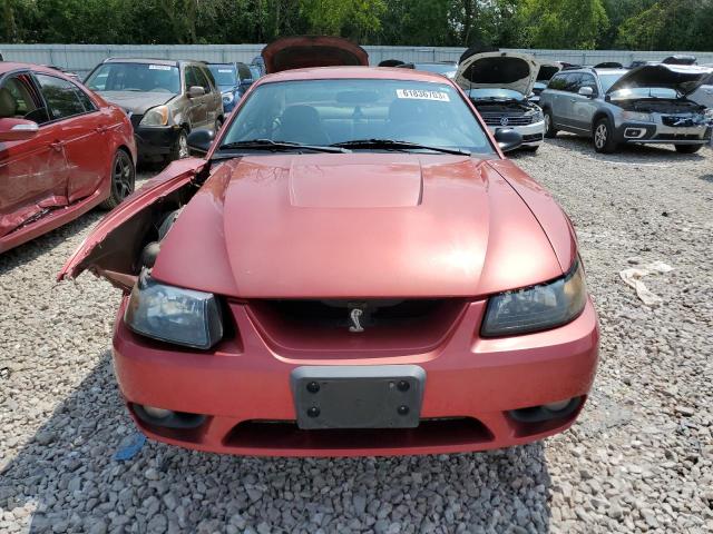 Photo 5 from auction – 2001 FORD MUSTANG CO with VIN 1FAFP47V31F189150