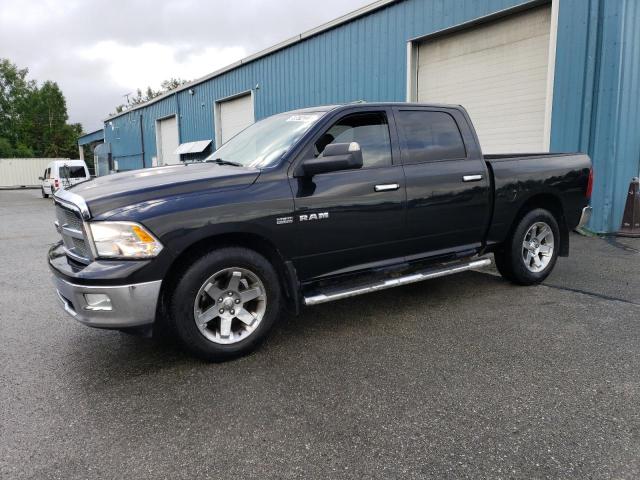 DODGE RAM 1500 2010 with VIN 1D7RV1CT8AS242728 - Photo from auction