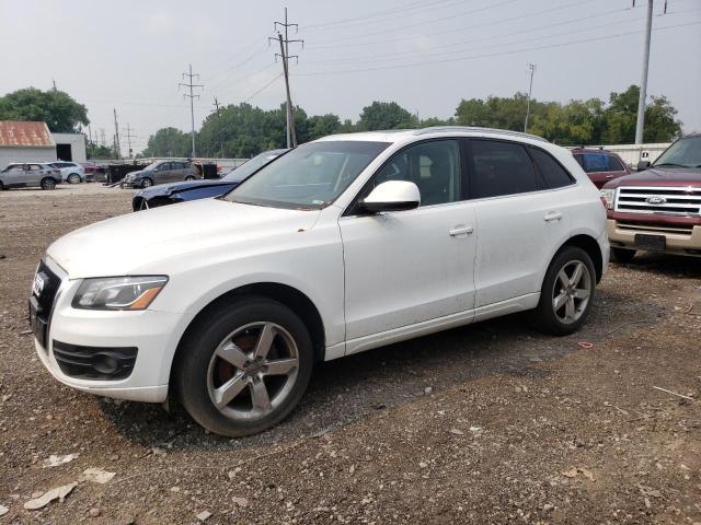 AUDI Q5 PREMIUM 2010 with VIN WA1LKAFP0AA020885 - Photo from auction