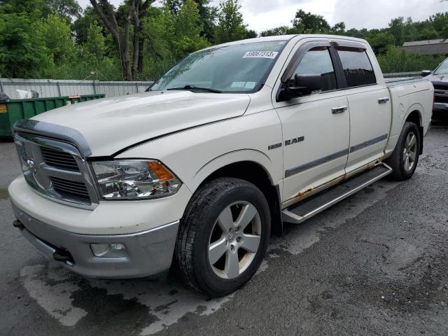 DODGE RAM 1500 2009 with VIN 1D3HV13T99J532376 - Photo from auction