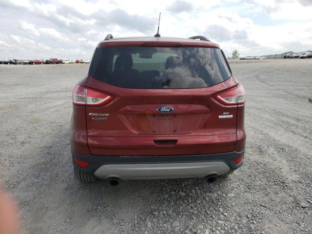 Photo 6 from auction – 2014 FORD ESCAPE SE with VIN 1FMCU0GX6EUC36653