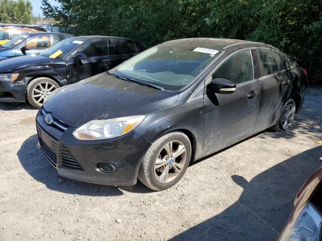 FORD FOCUS SE 2013 with VIN 1FADP3F29DL254596 - Photo from auction