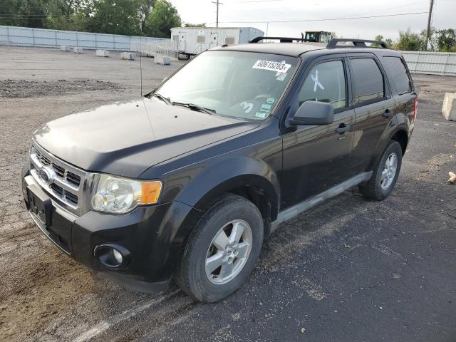 Photo 1 from auction – 2009 FORD ESCAPE XLT with VIN 1FMCU03G89KC13026