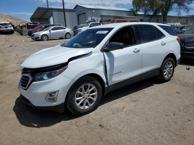 CHEVROLET EQUINOX LS 2019 with VIN 2GNAXSEV1K6100643 - Photo from auction