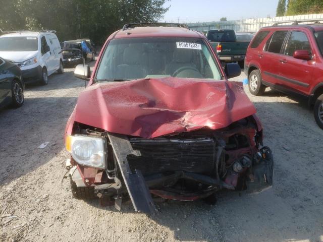 Photo 5 from auction – 2010 FORD ESCAPE XLT with VIN 1FMCU9DG8AKB53496