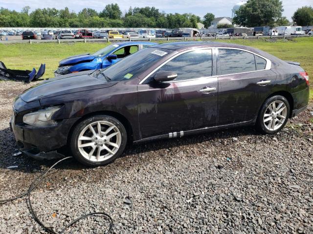 NISSAN MAXIMA S 2010 with VIN 1N4AA5APXAC863503 - Photo from auction