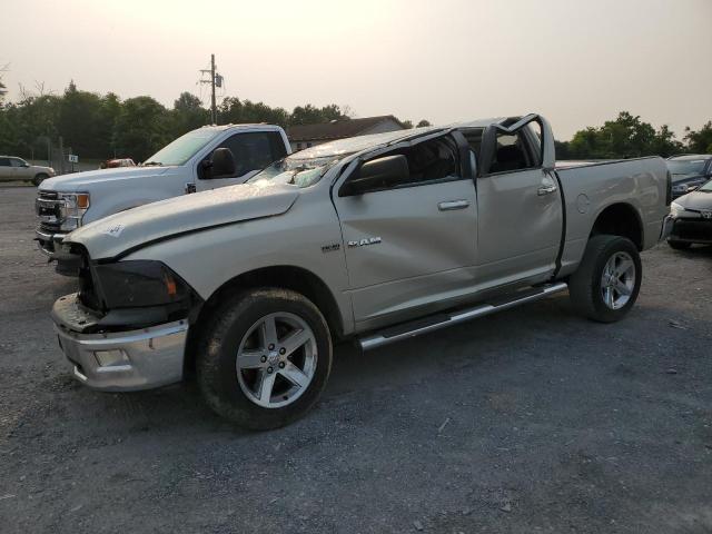 DODGE RAM 1500 2010 with VIN 1D7RV1CT2AS243440 - Photo from auction