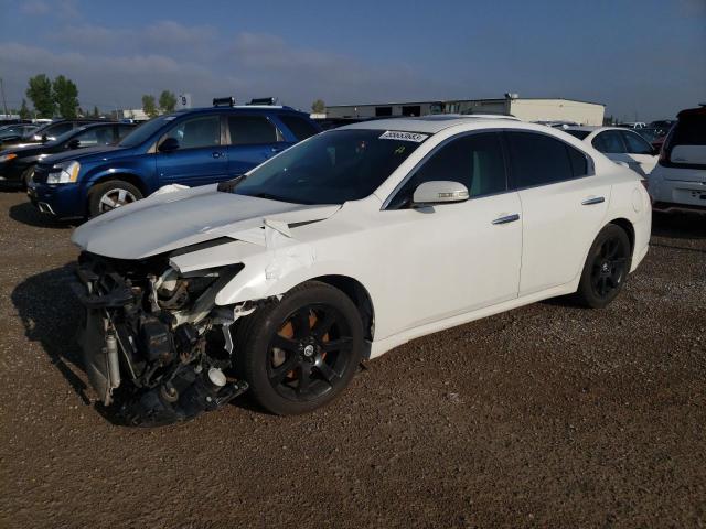 NISSAN MAXIMA S 2009 with VIN 1N4AA51E89C820014 - Photo from auction
