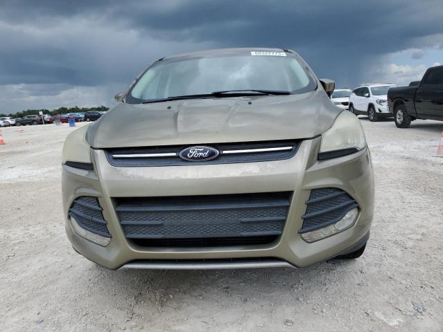 Photo 5 from auction – 2013 FORD ESCAPE SE with VIN 1FMCU0GX5DUC17381
