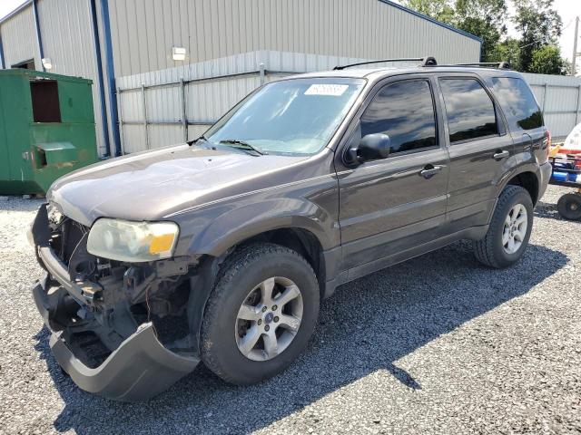 Photo 1 from auction – 2006 FORD ESCAPE XLT with VIN 1FMYU93126KD55583