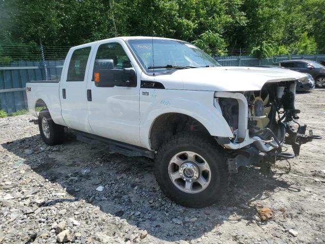 FORD F250 SUPER 2016 with VIN 1FT7W2BT9GEA55947 - Photo from auction