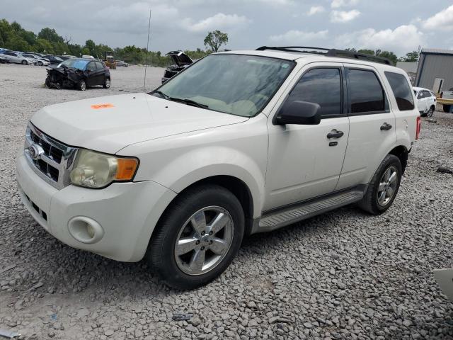 FORD ESCAPE XLT 2010 with VIN 1FMCU0DG3AKB43017 - Photo from auction
