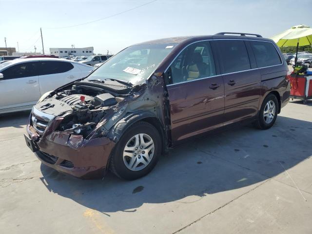 HONDA ODYSSEY EX 2007 with VIN 5FNRL38477B033449 - Photo from auction