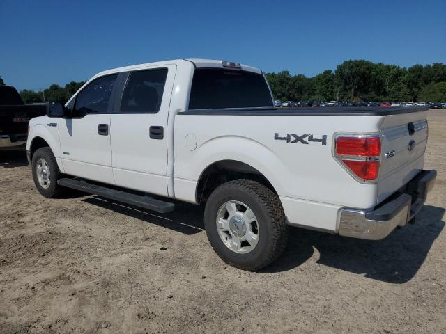Photo 2 from auction – 2014 FORD F150 SUPER with VIN 1FTFW1ET6EKE24652