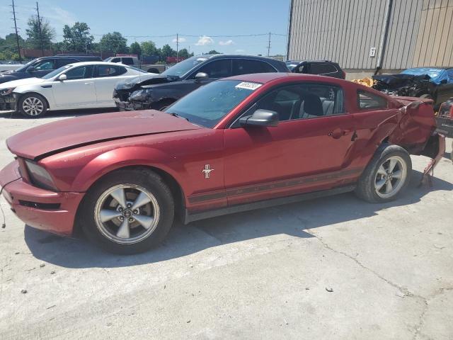 FORD MUSTANG 2007 with VIN 1ZVHT80N775207774 - Photo from auction