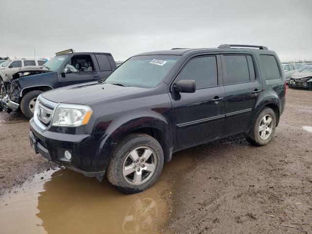 HONDA PILOT EXL 2011 with VIN 5FNYF4H62BB006128 - Photo from auction