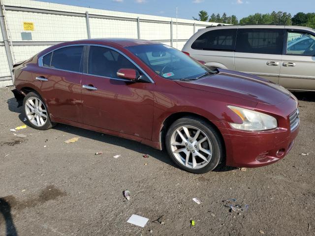 Photo 4 from auction – 2009 NISSAN MAXIMA S with VIN 1N4AA51E79C818531