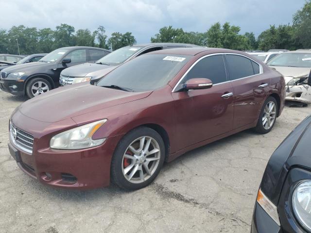NISSAN MAXIMA S 2010 with VIN 1N4AA5APXAC833675 - Photo from auction