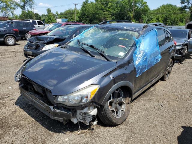 SUBARU XV CROSSTR 2014 with VIN JF2GPAKC6E8331005 - Photo from auction