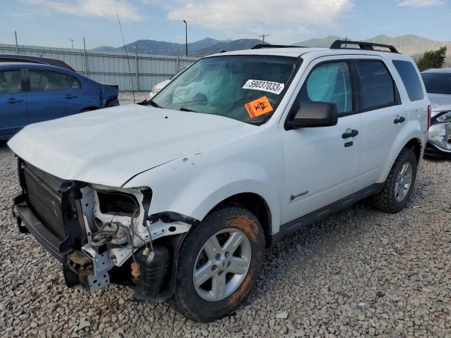 FORD ESCAPE HYB 2010 with VIN 1FMCU5K39AKC85692 - Photo from auction