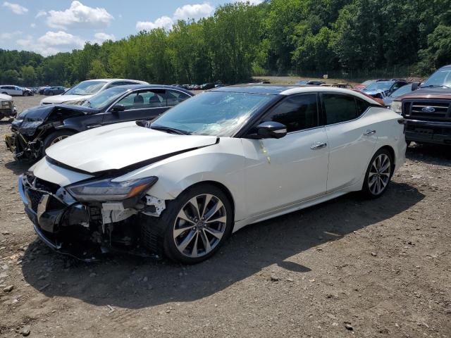NISSAN MAXIMA PLA 2023 with VIN 1N4AA6FV7PC502378 - Photo from auction