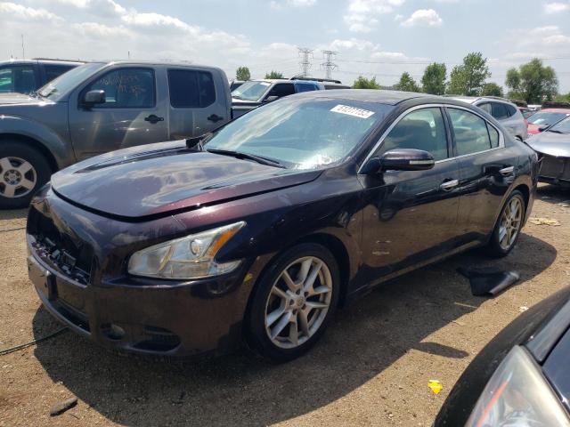 NISSAN MAXIMA S 2010 with VIN 1N4AA5AP3AC828527 - Photo from auction