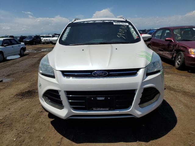 Photo 5 from auction – 2014 FORD ESCAPE TIT with VIN 1FMCU0J99EUB60713