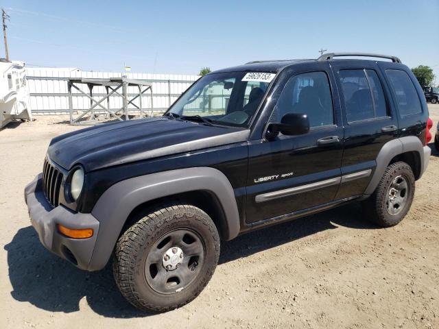 JEEP LIBERTY SP 2003 with VIN 1J4GL48KX3W501685 - Photo from auction