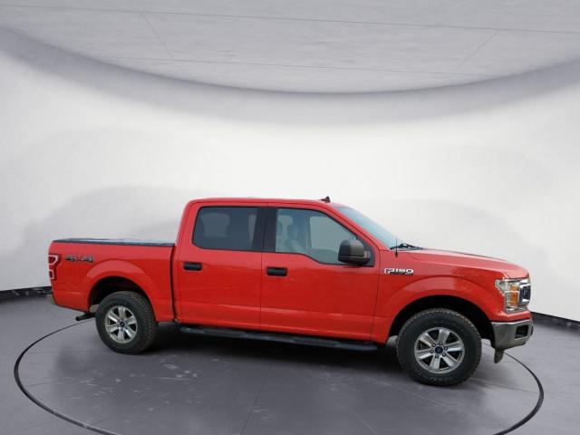 Photo 4 from auction – 2019 FORD F150 SUPER with VIN 1FTEW1EP2KFA56148