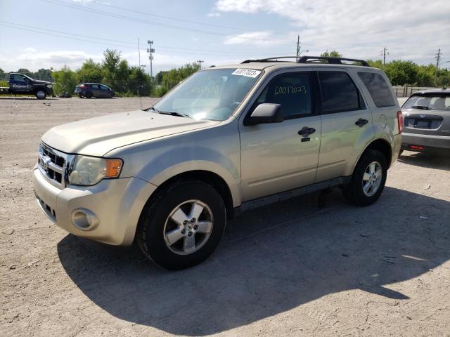 FORD ESCAPE XLT 2010 with VIN 1FMCU9DG2AKB73033 - Photo from auction